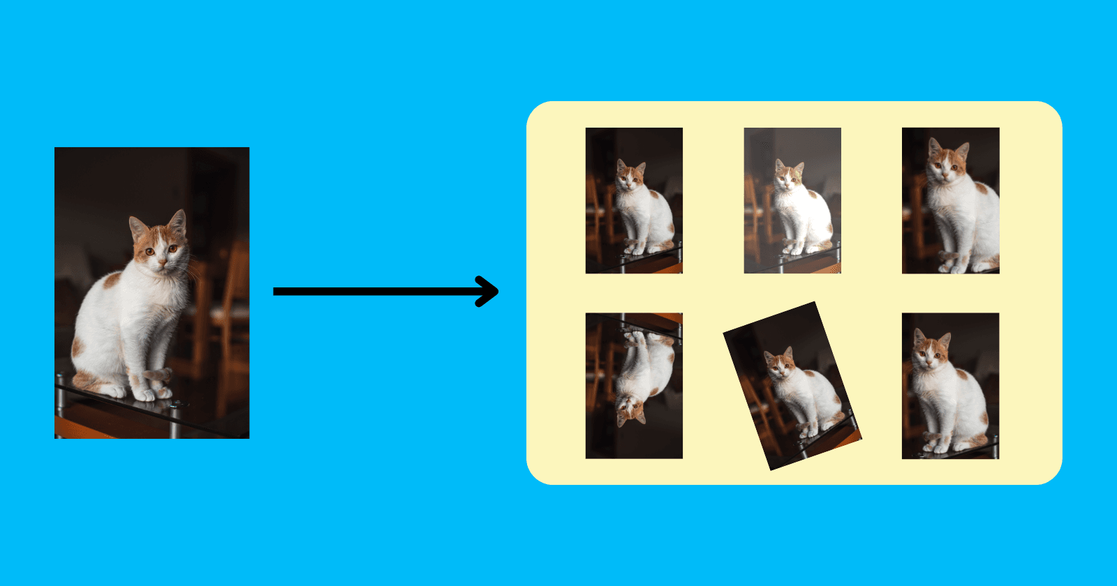 An Intuitive Guide On Data Augmentation In Deep Learning - Techniques With Examples
