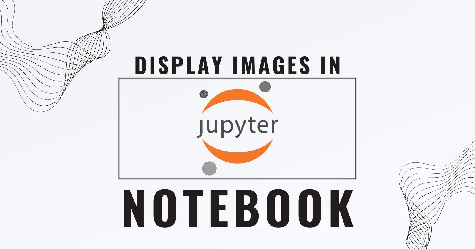 How To Display Local And Web Images In Jupyter Notebook